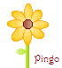 Sunflowerpixel.png
