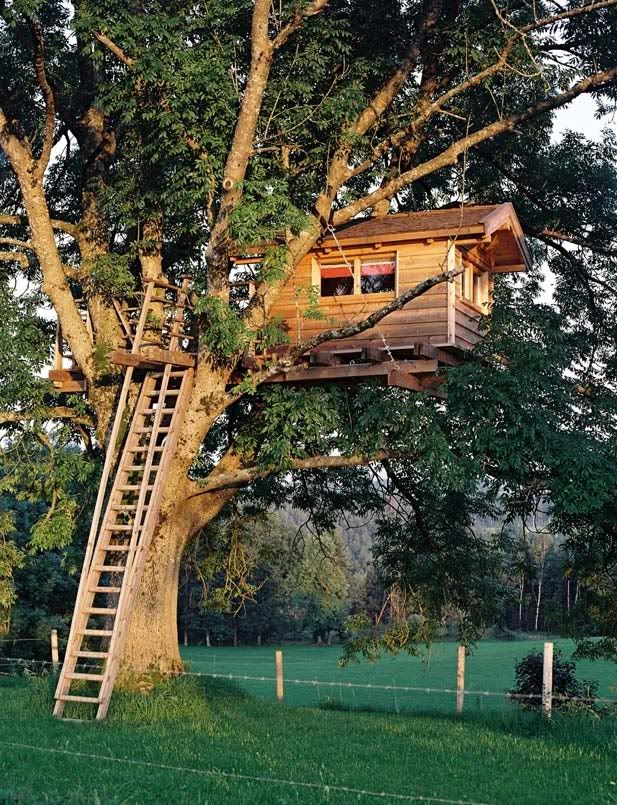 Another cool treehouse from