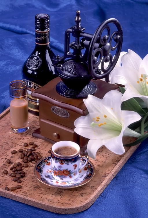 by_fiorre53,by fiore53