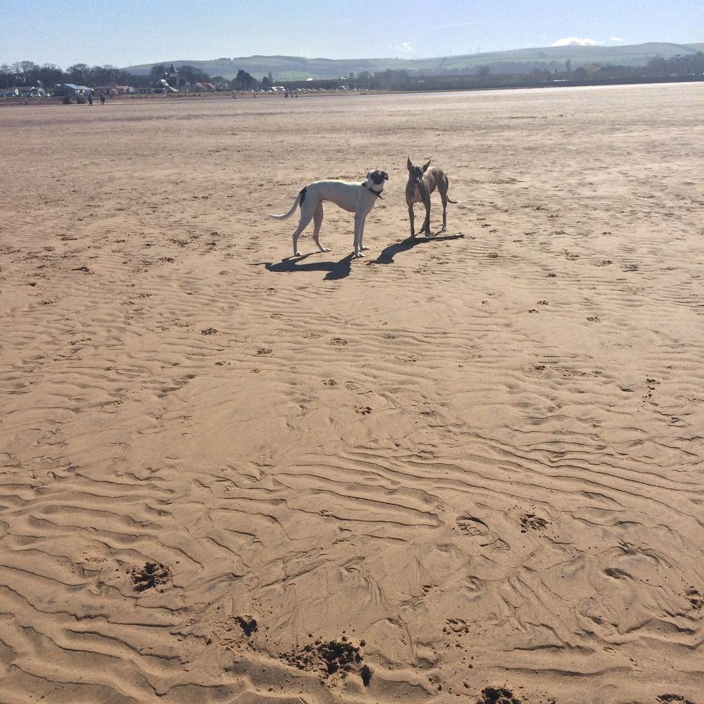 3732544e-eb1b-44e7-9600-4886d4bb9b1b_zps