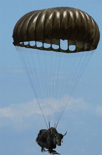 paratrooper.jpg