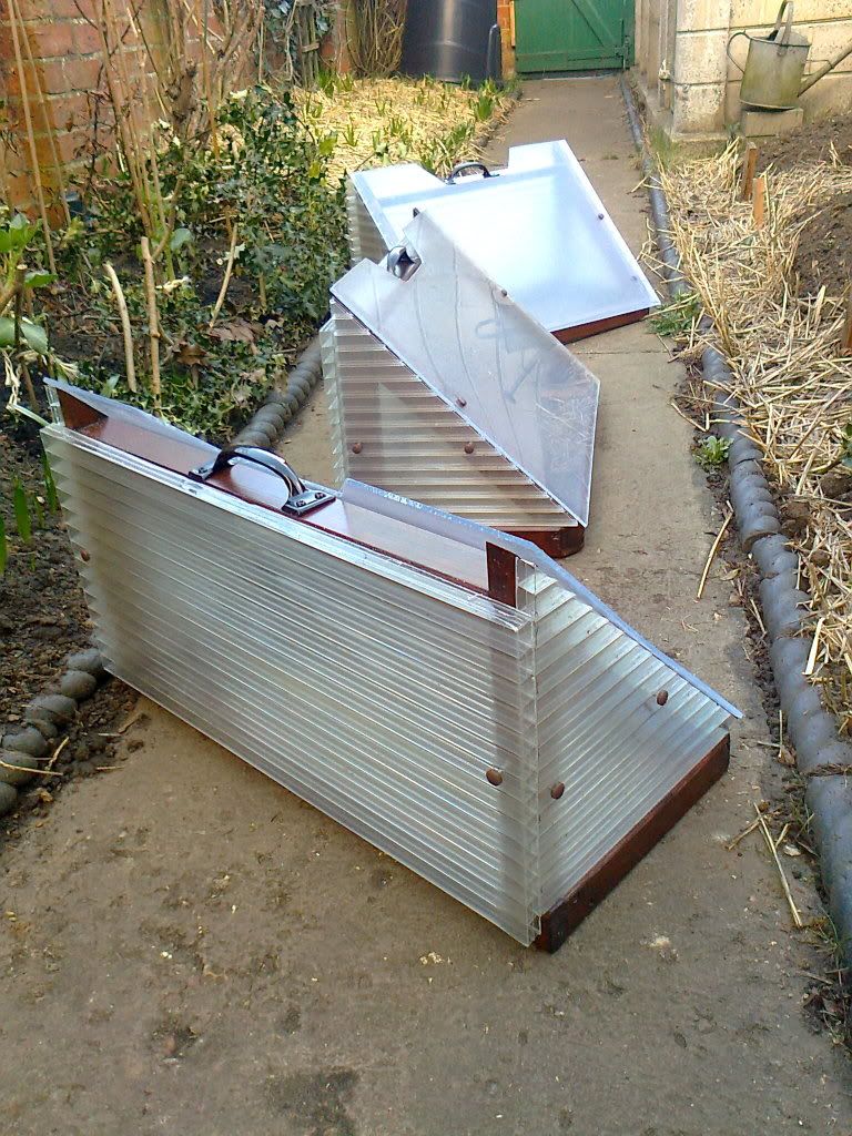 ColdFrame04.jpg