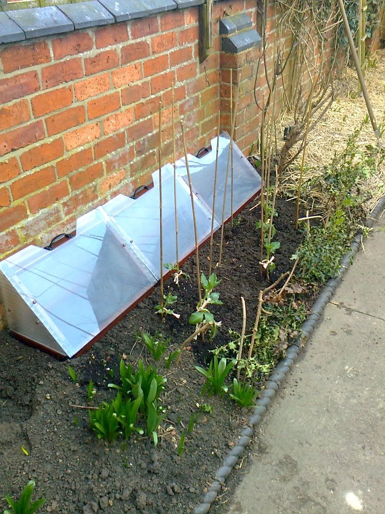 ColdFrame05.jpg