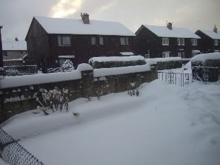 025-2-1.jpg