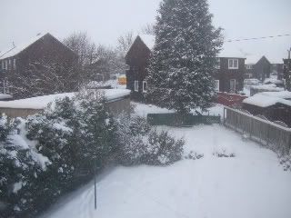 032-1.jpg