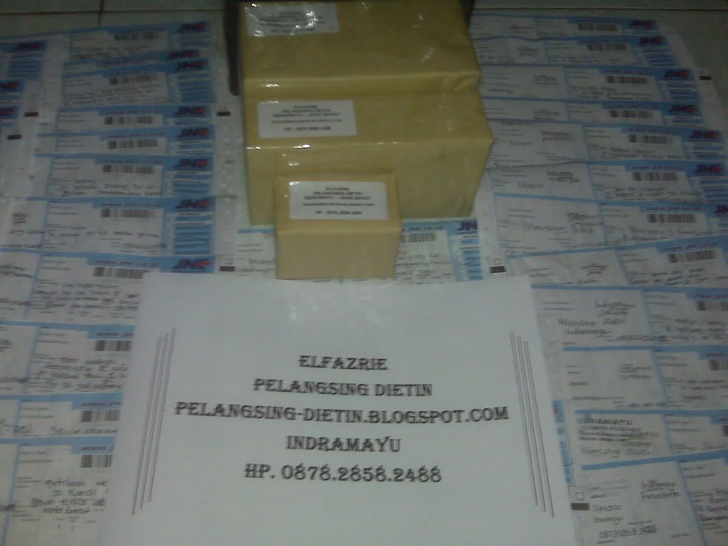 Pelangsing DIetin