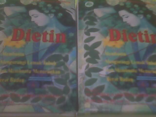 Harga Dietin Termurah