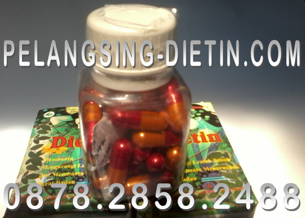 Pelangsing Dietin Termurah