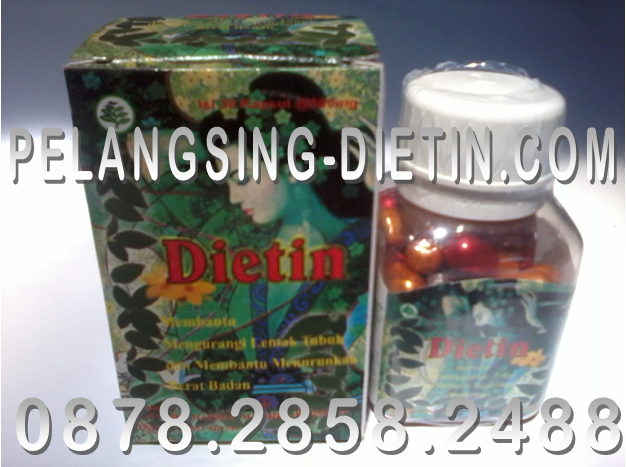 Harga Dietin Termurah